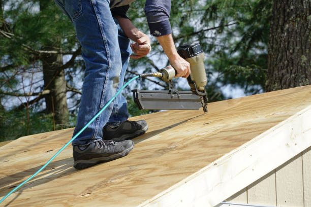 Best Attic Insulation Installation  in Kingsbury, NV